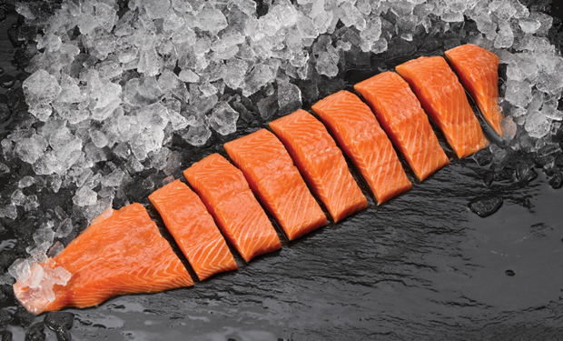 Porciones de Salmon x 220 gramos