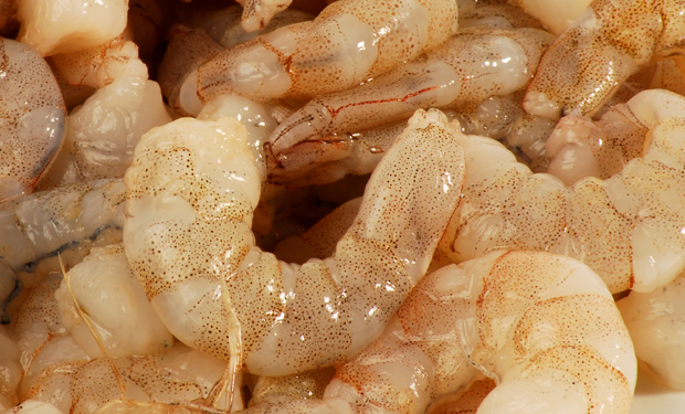 Camarones pelados crudos