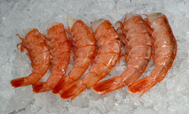 Colas de langostino argentino