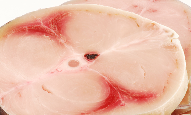 Pez espada en lomos y rodajas