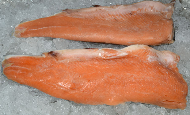 Filete Trucha Arcoiris